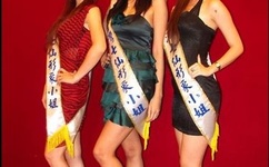 137VT最大但人文艺术A仙踪